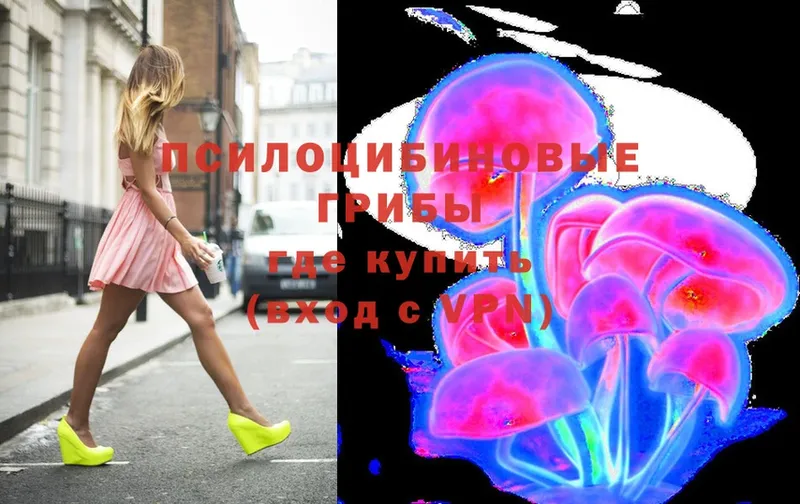 Псилоцибиновые грибы Psilocybe  blacksprut tor  Ахтубинск 